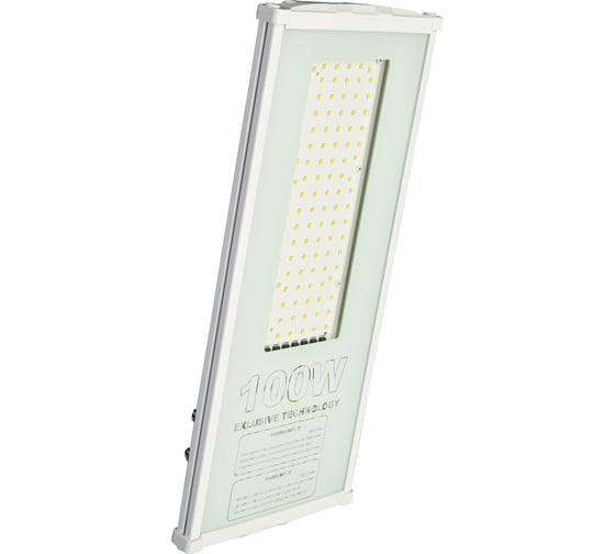 Светильник INCOME LIGHT CCO 430 1 100 Вт IP65 ECO Street ДРЛ 250 00001311