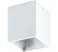 Накладной светильник EGLO ПРОМО Polasso 94499