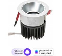 Умный встраиваемый влагозащищённый светильник SIBLING Commercial Light-ZBIСLW W 00-00012822