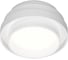 Накладной светильник Ambrella Light Techno TN601 2