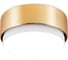 Накладной светильник Ambrella Light Techno 10 G102 GD 1