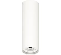 Накладной светильник Ambrella Light DIY Spot C8191