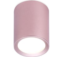 Накладной светильник Ambrella Light Techno TN217
