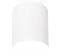 Накладной светильник Ambrella Light Techno 35 TN260