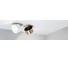 Корпус Arlight PLURIO-BASE-BUILT-RS185x85 031739 2