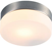 Потолочный светильник ARTE LAMP A6047PL-1SS 24695601