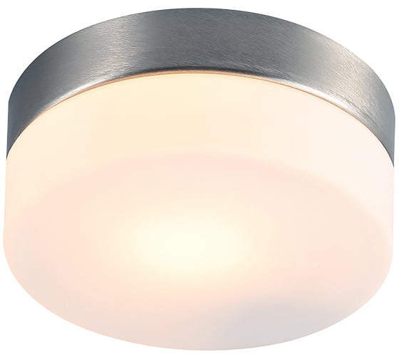 Потолочный светильник ARTE LAMP A6047PL-1SS