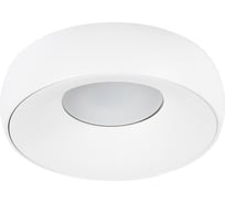 Потолочный светильник ARTE LAMP A6665PL-1WH