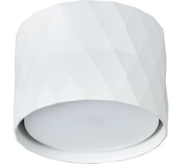 Потолочный светильник ARTE LAMP A5552PL-1WH