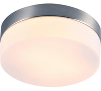 Потолочный светильник ARTE LAMP A6047PL-2SS
