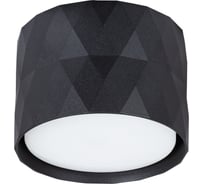 Потолочный светильник ARTE LAMP A5552PL-1BK