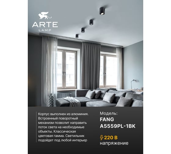 Потолочный светильник ARTE LAMP A5559PL-1BK