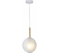 Подвесной светильник ST luce Foligno SL1183.503.01
