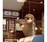 Подвесной светильник LOFT IT Copper Shade LOFT2023-D 3