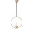 Подвесной светильник LOFT IT Nuance 8139-B 5