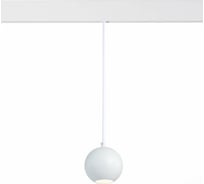 Подвесной светильник ST luce Bole ST354.543.12