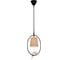 Подвесной светильник LOFT IT Birds LOFT1029A-1 1
