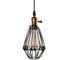 Подвесной светильник LOFT IT Holder LOFT2009/1 2