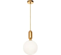 Подвесной светильник LOFT IT Parachilna 9974-B