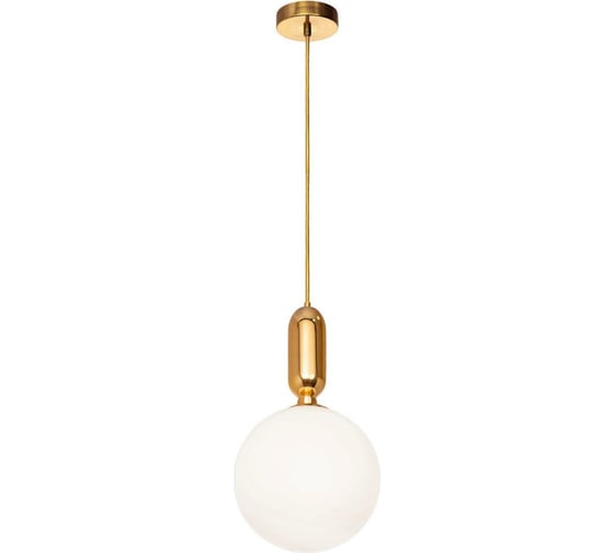 Подвесной светильник LOFT IT Parachilna 9974-B 1