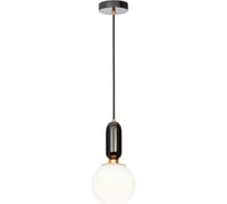 Подвесной светильник LOFT IT Parachilna 9973-A