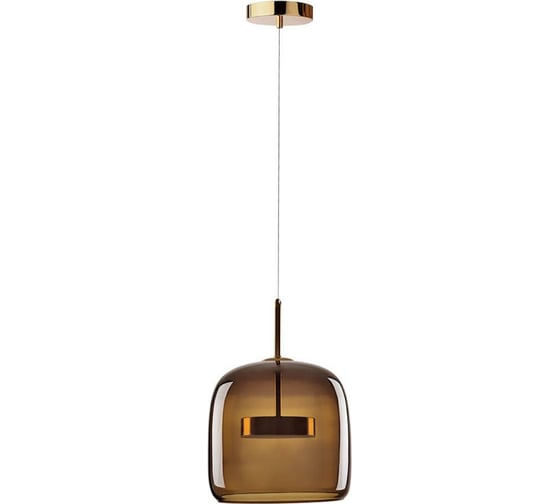Подвесной светильник LOFT IT Dauphin 10040A