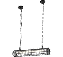 Подвесной светильник LOFT IT Office LOFT1701BK