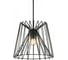 Подвесной светильник LOFT IT Deseno 2 10033 Black 3