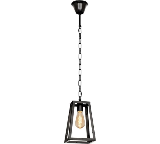Подвесной светильник LOFT IT Modern Filament LOFT1127 1