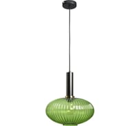 Подвесной светильник LOFT IT Iris 2 2072-C+BL