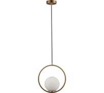 Подвесной светильник LOFT IT Glob LOFT2600-A