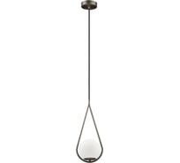 Подвесной светильник LOFT IT Glob LOFT2599-B