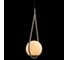 Подвесной светильник LOFT IT Glob LOFT2599-B 4