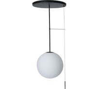 Светильник на штанге LOFT IT Signal 10029PM Black