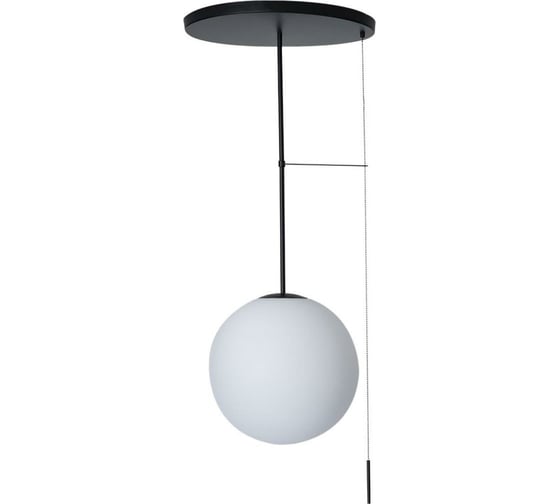 Светильник на штанге LOFT IT Signal 10029PM Black