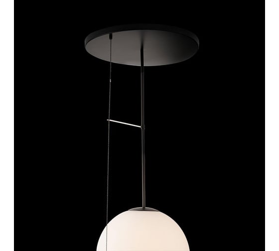Светильник на штанге LOFT IT Signal 10029PM Black
