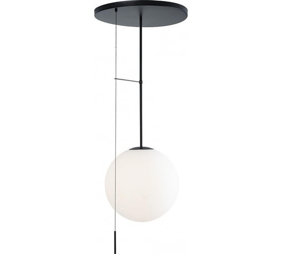 Светильник на штанге LOFT IT Signal 10029PM Black