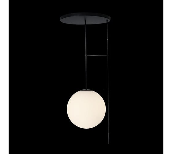 Светильник на штанге LOFT IT Signal 10029PM Black
