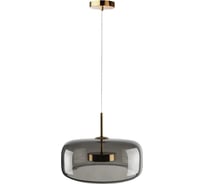 Подвесной светильник LOFT IT Dauphin 10041B