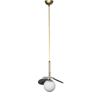 Подвесной светильник LOFT IT Matisse 10008/1P Grey