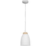 Подвесной светильник LOFT IT Watchman LOFT4402A-WH