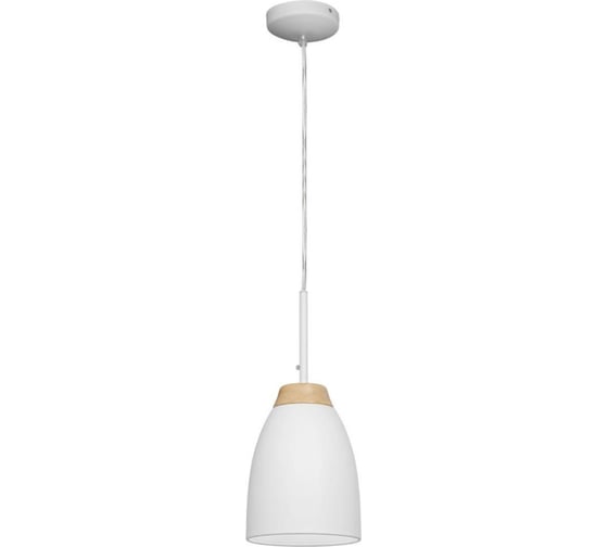 Подвесной светильник LOFT IT Watchman LOFT4402A-WH 1