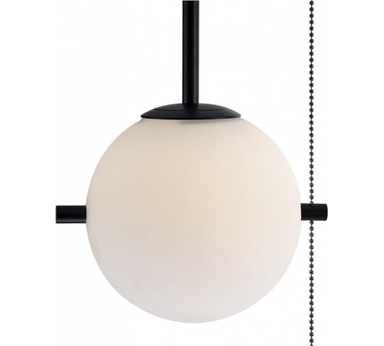 Светильник на штанге LOFT IT Signal 10029PS Black