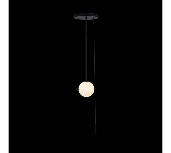 Светильник на штанге LOFT IT Signal 10029PS Black
