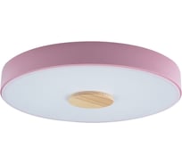 Накладной светильник LOFT IT Axel 2 10003/24 Pink