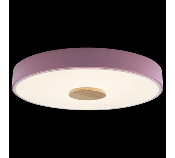 Накладной светильник LOFT IT Axel 2 10003/24 Pink