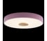 Накладной светильник LOFT IT Axel 2 10003/24 Pink 3
