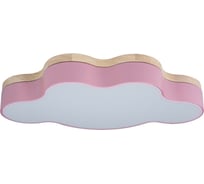 Накладной светильник LOFT IT Axel 4 10005/30 Pink
