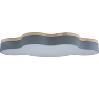 Накладной светильник LOFT IT Axel 4 10005/36 Grey