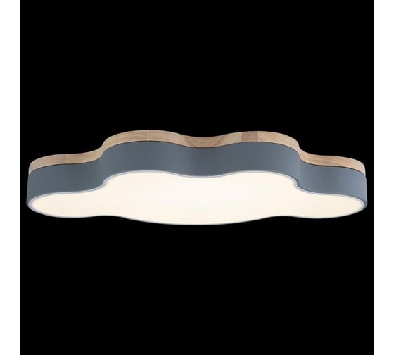 Накладной светильник LOFT IT Axel 4 10005/36 Grey